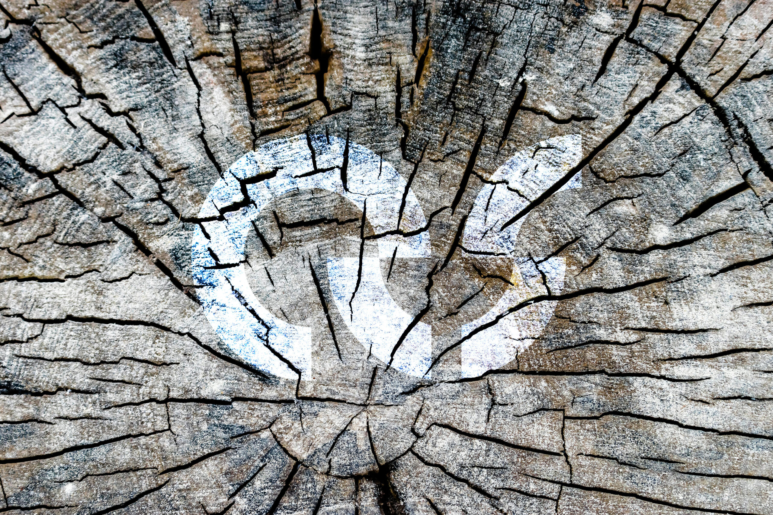 Le Règlement RDUE : comprendre la nouvelle réglementation européenne contre la déforestation et la dégradation des forêts – Mise à jour de juillet 2026